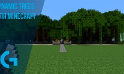Dynamic Trees [1.21.1] для Minecraft