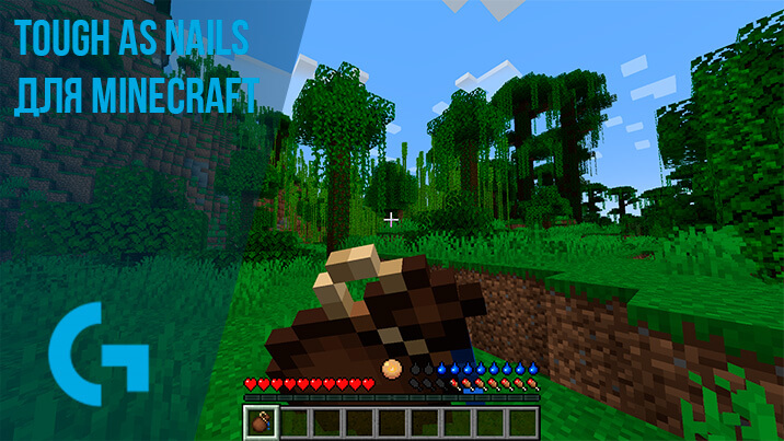 Tough As Nails для Minecraft 