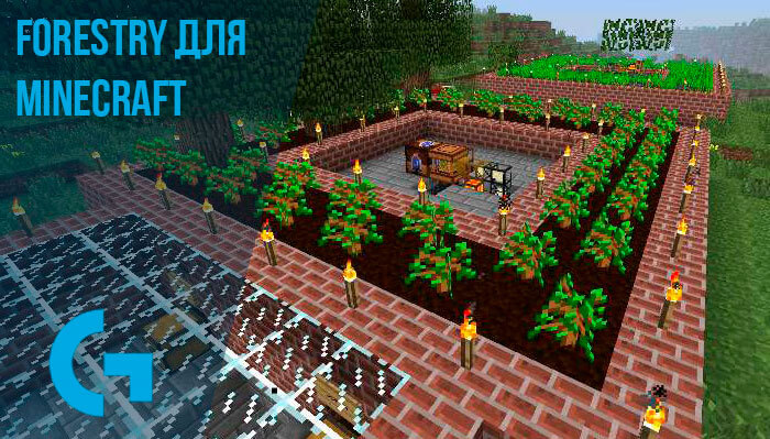Forestry для Minecraft