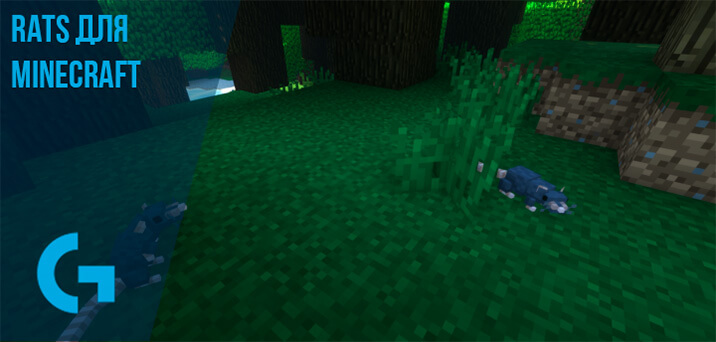 Rats для Minecraft